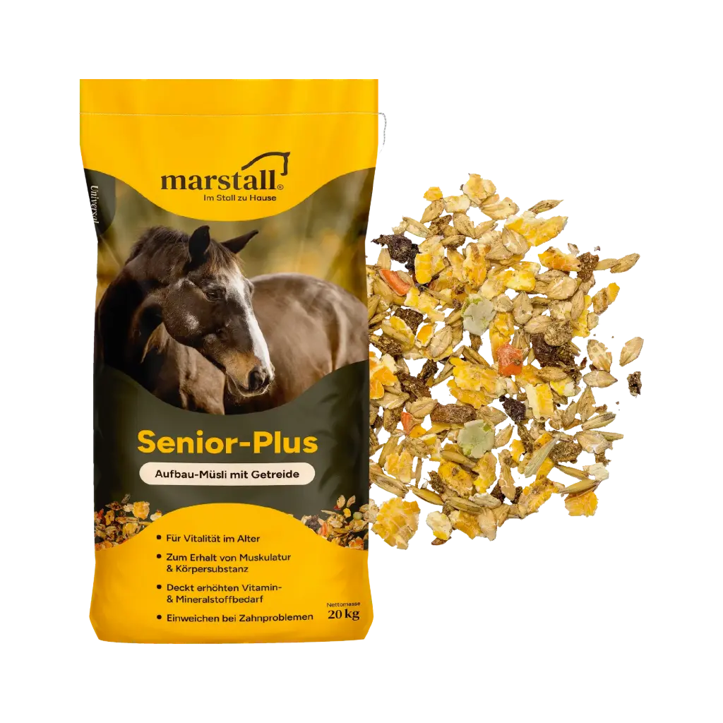 Senior Plus