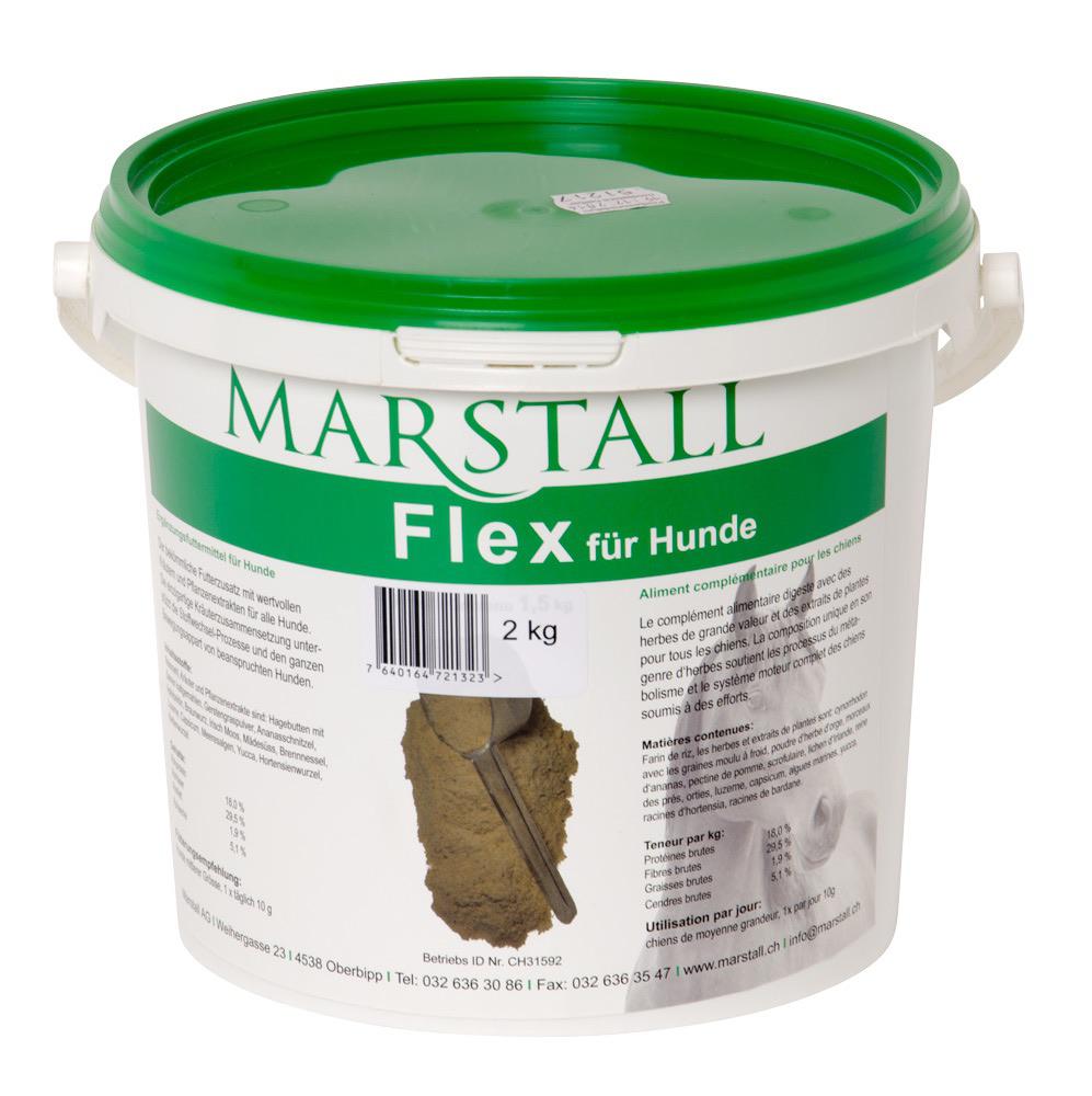 Flex für Hunde