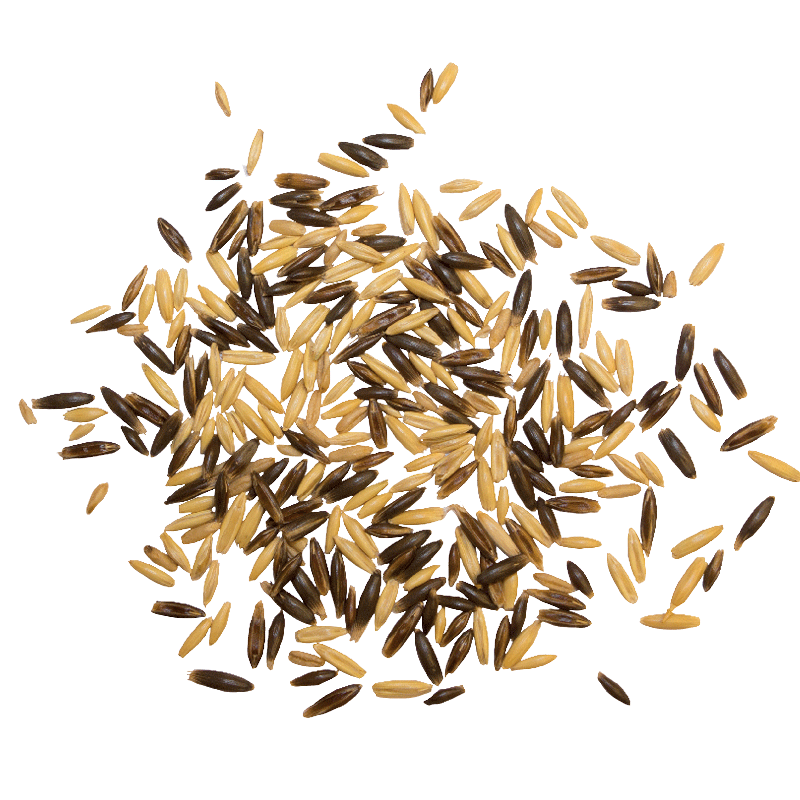 Hafer   g a n z (schwarz/weiss)