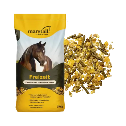 Freizeit
