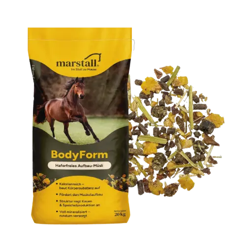 [6005420] BodyForm-Müsli