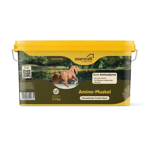 Amino-Muskel