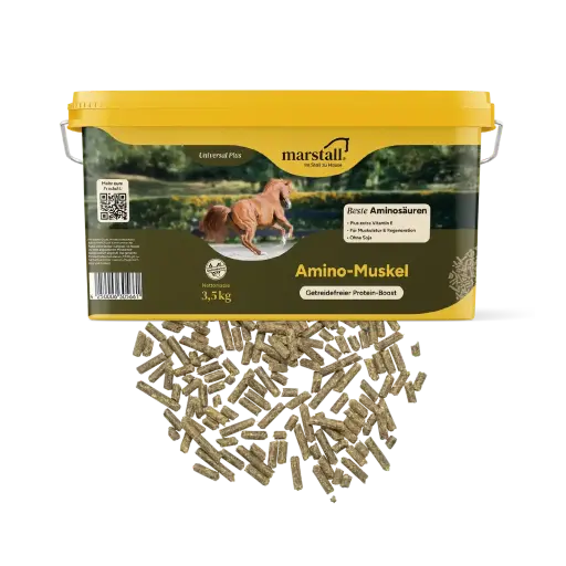 Amino-Muskel