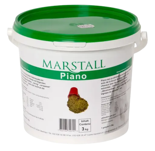 Piano, Magnesium-E&Se.