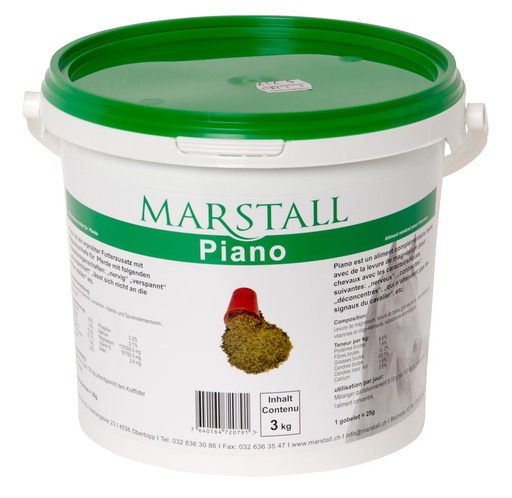 Piano, Magnesium-E&Se.