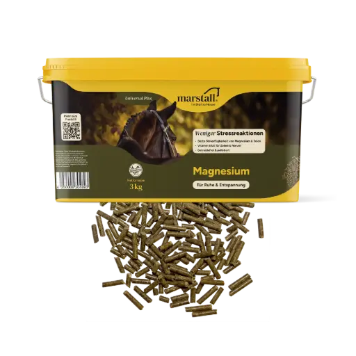 Magnesium, pelletiert