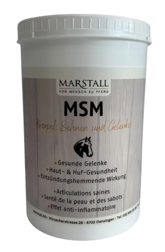 [9094061] MSM