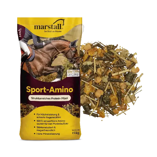 [6005515] Sport Amino