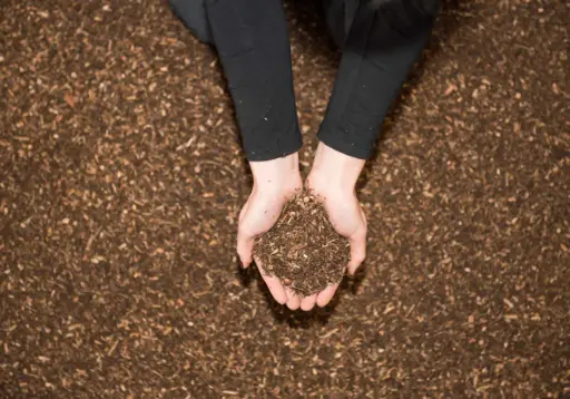 [6611086] BIO Waldboden 70 Lt Sack (ca. 24 kg)