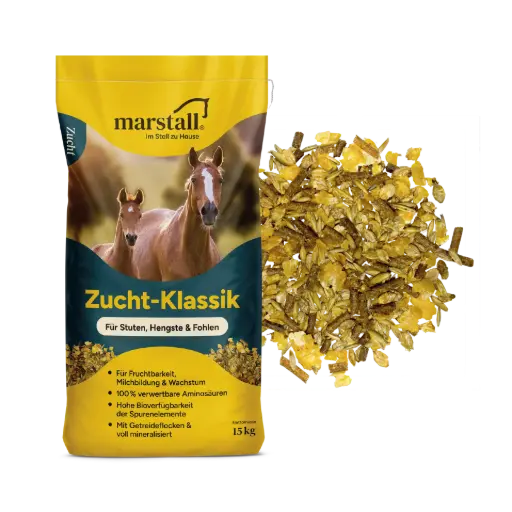 Zucht-Klassik 