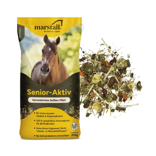 [6006220] Senior -Aktiv