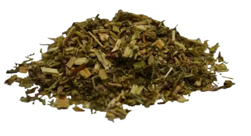 Reine-des-prés coupée (Mädesüsskraut geschnitten)