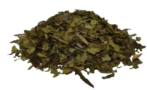 Spitzwegerichkraut geschnitten