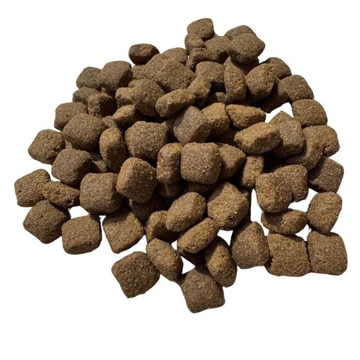 [7350271] Dog Adult Premium