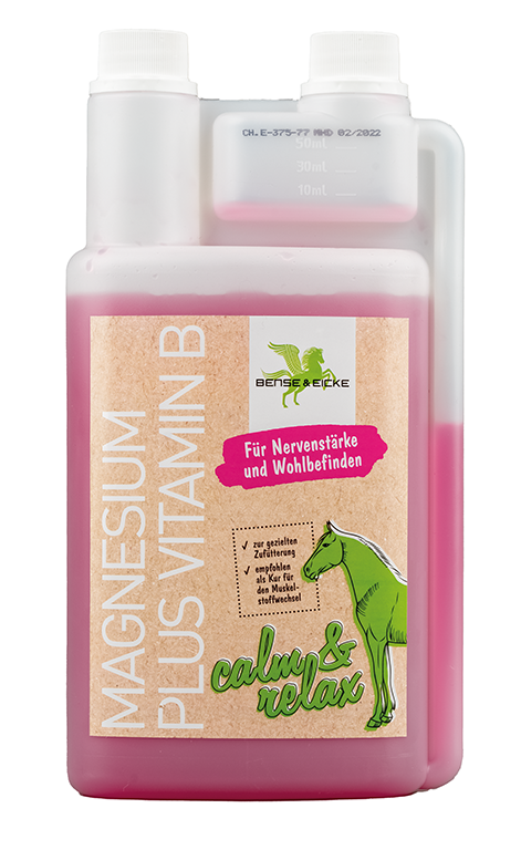 B&E Magnesium plus Vit. B