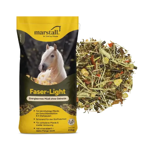 [6006315] Faser-Light