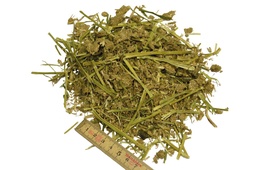 ProcaLuz