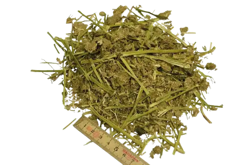 ProcaLuz
