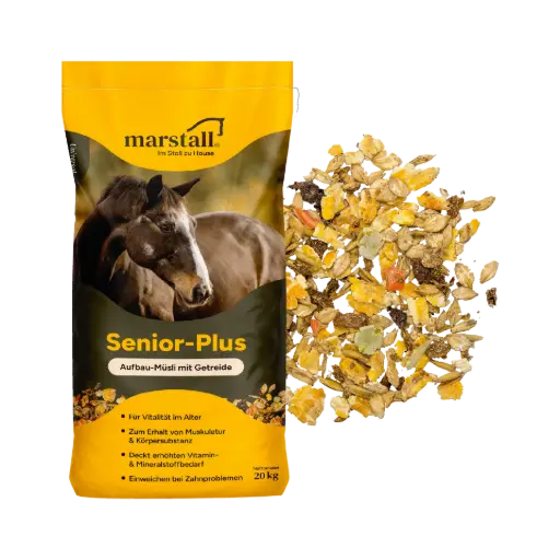 [6006120] Senior Plus