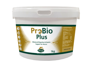 [9097273] Mervue Pro Bio Plus (Forte)