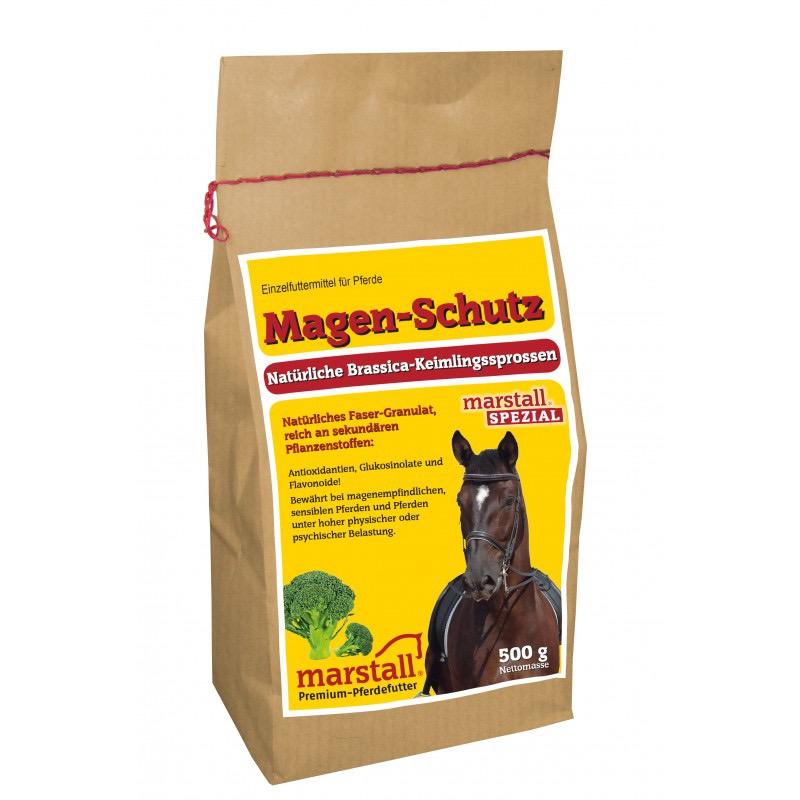 Magen-Schutz