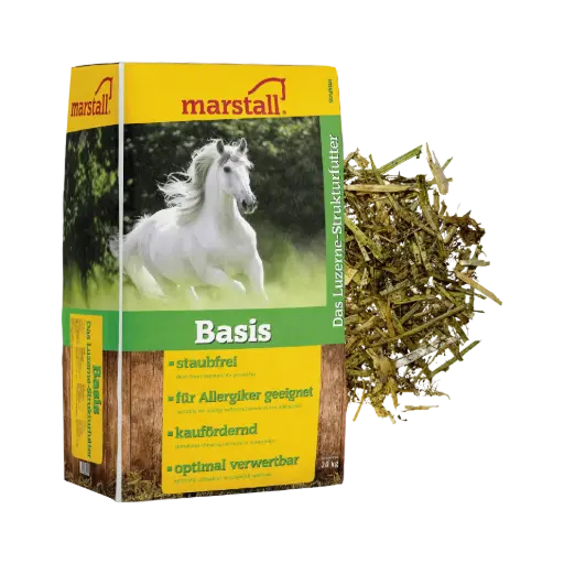 [6091215] Basis-Struktur